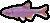Spotfin Shiner