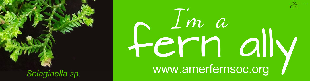 Fern Ally Sticker