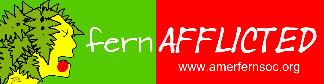 Fern Afflicted Bumper Sticker